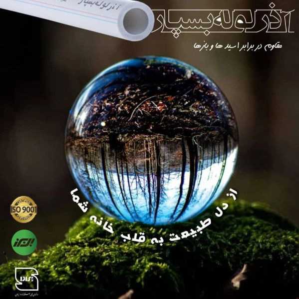 1714626141263.webp